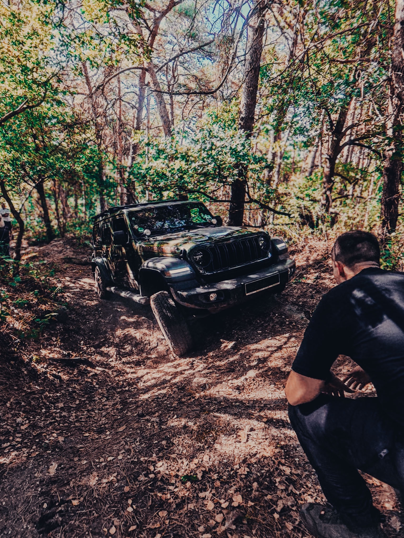 Jeep Wrangler auf einer bewaldeten Offroad-Passage bei Redrock Adventures