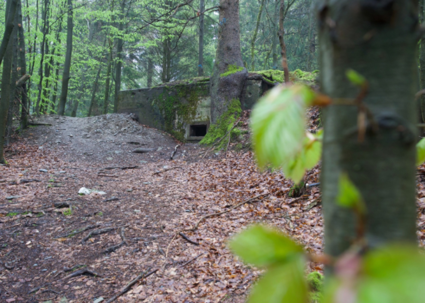Vater und Sohn auf Bunkertour im Hürtgenwald