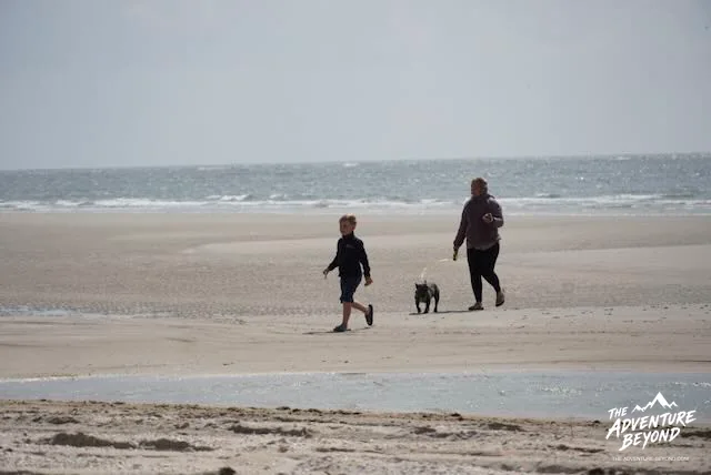 Familie und Hund bei einem Strandspaziergang an der Nordsee