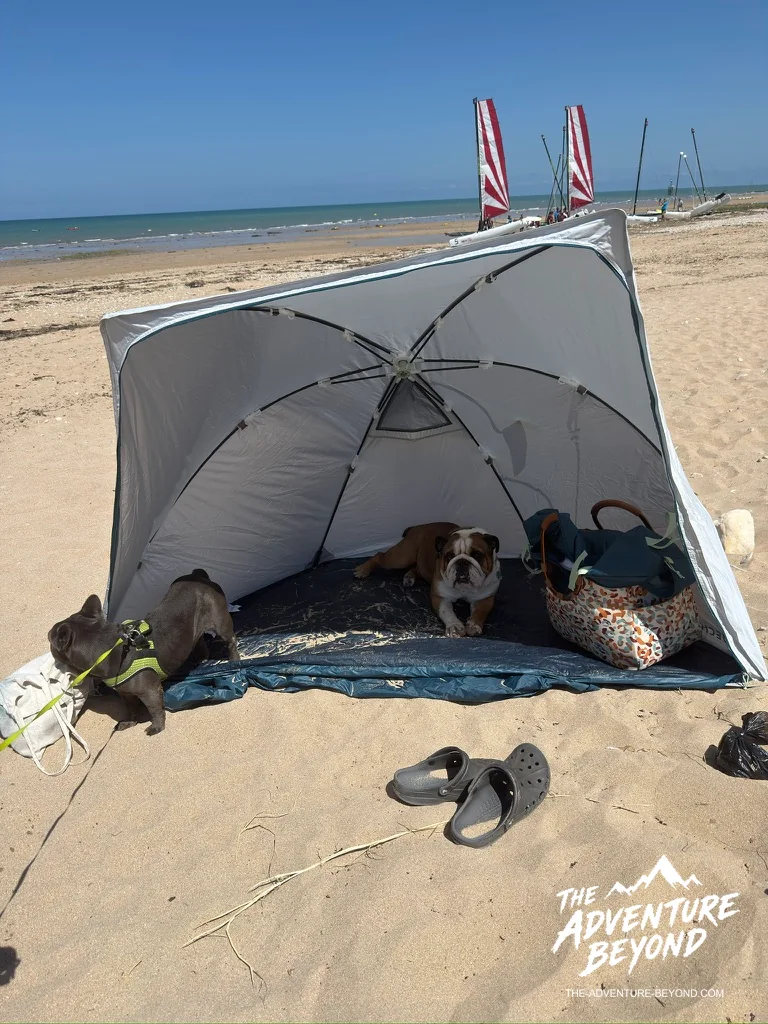 Die Hunde in der Strandmuschel