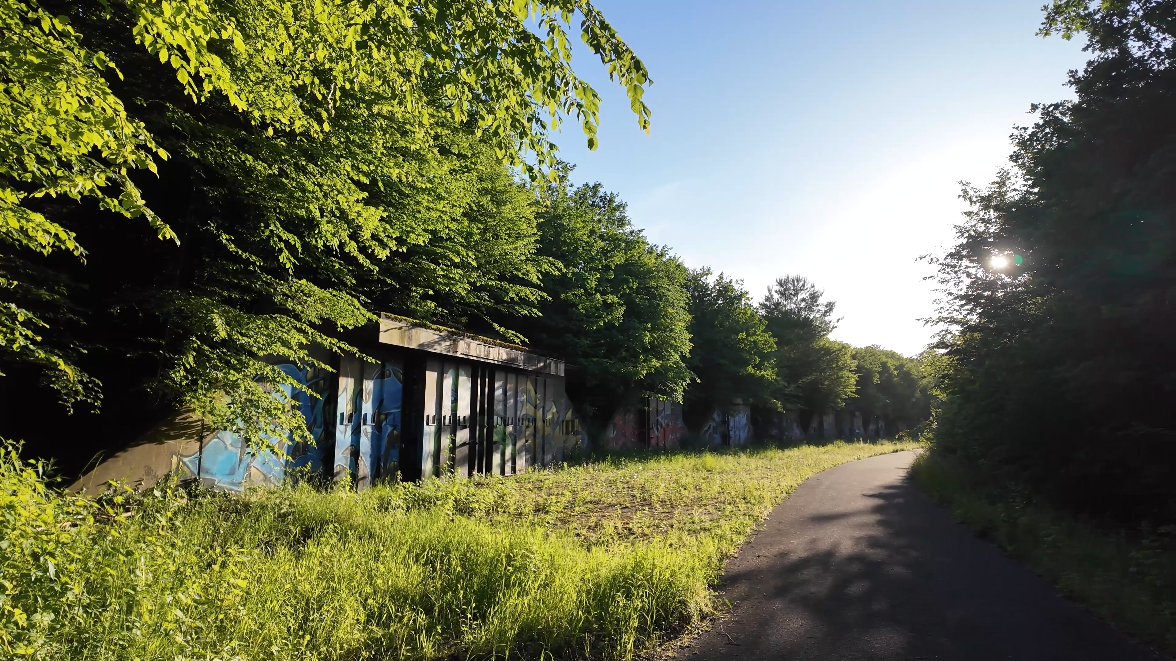 Verlassenes Munitionsdepot Bunker an Bunker im Wald