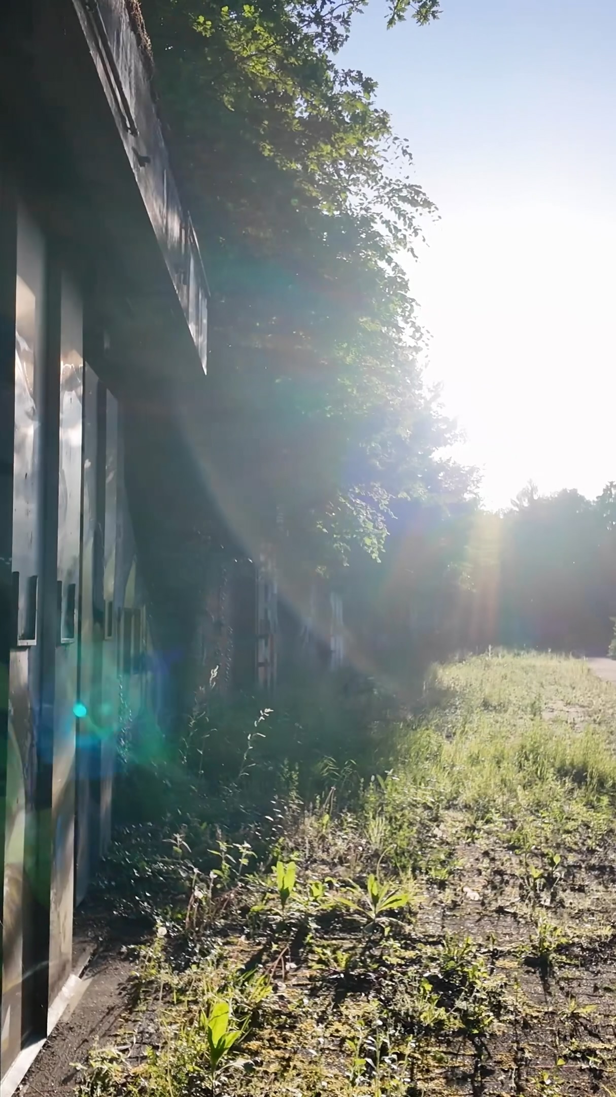 Sonnenlicht fällt entlang der bewachsenen Bunkerfassade