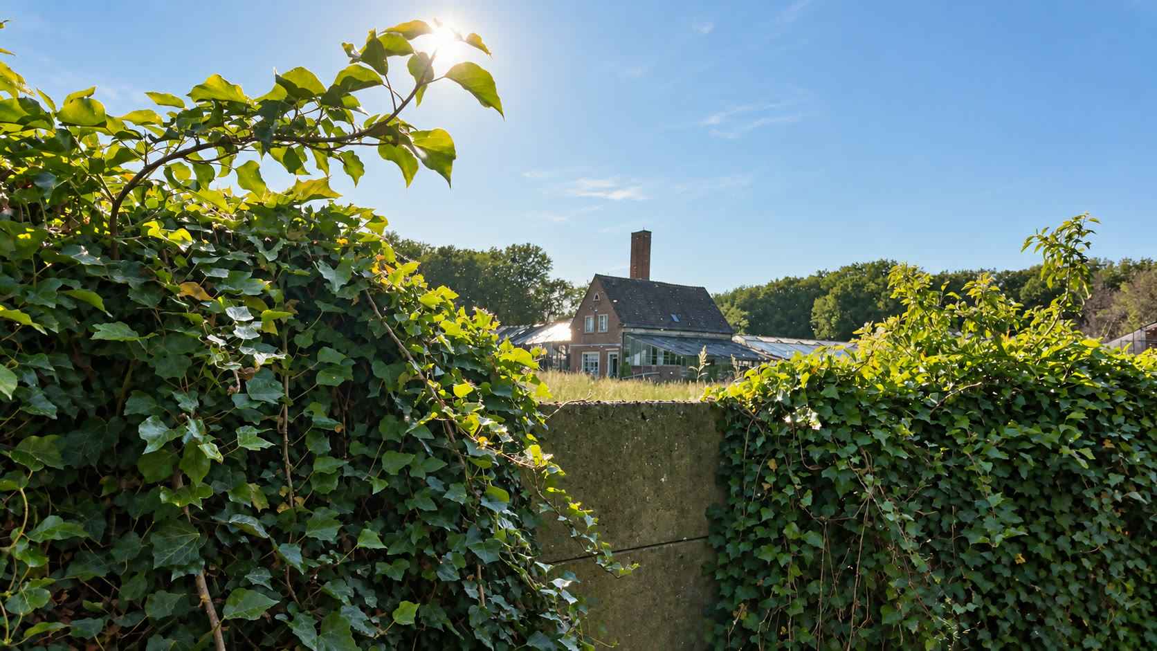 Backsteinhaus im Gegenlicht