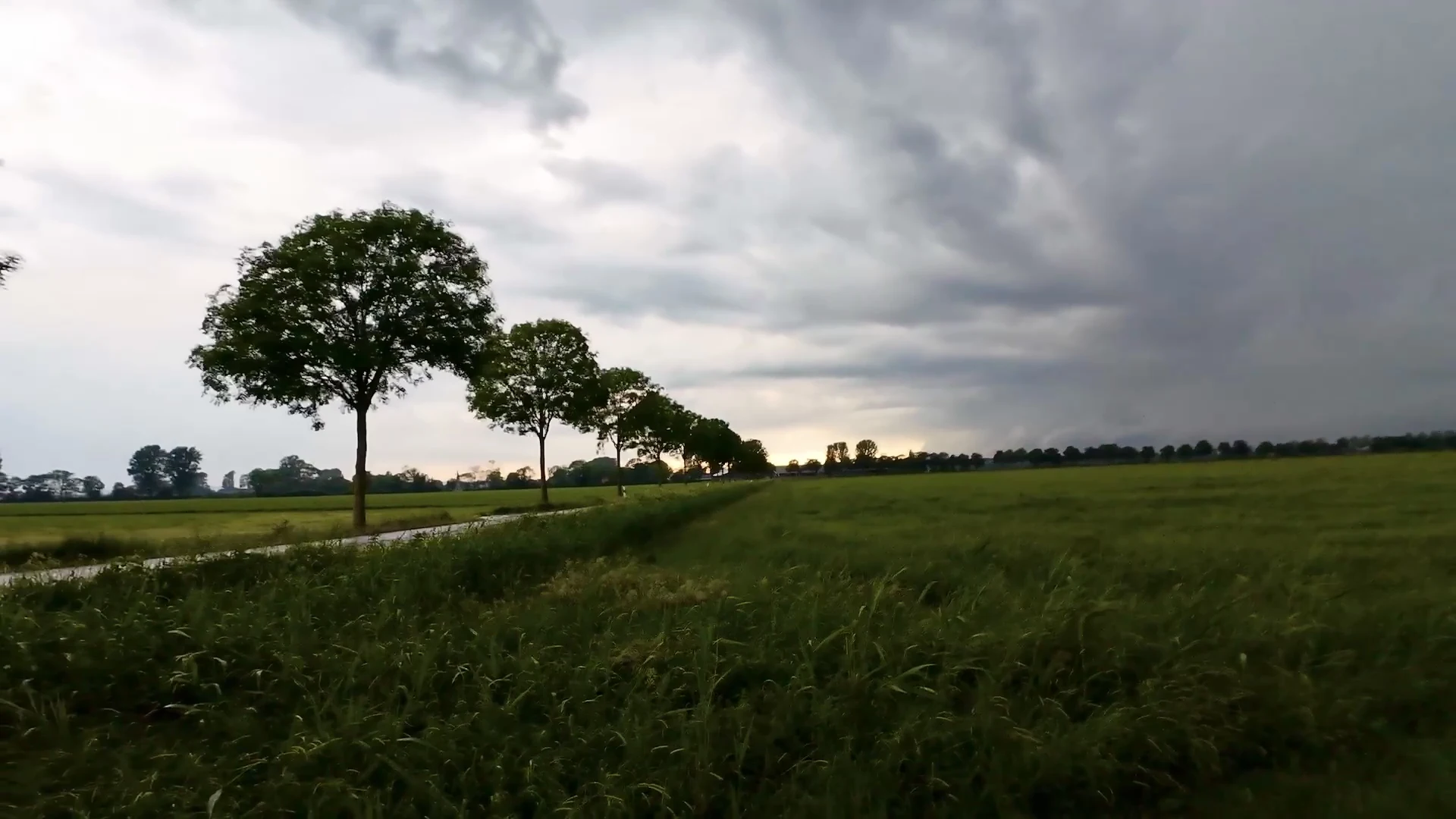 Breite dunkle Wolken über einem grünen Getreidefeld und einer Baumreihe neben der Straße.