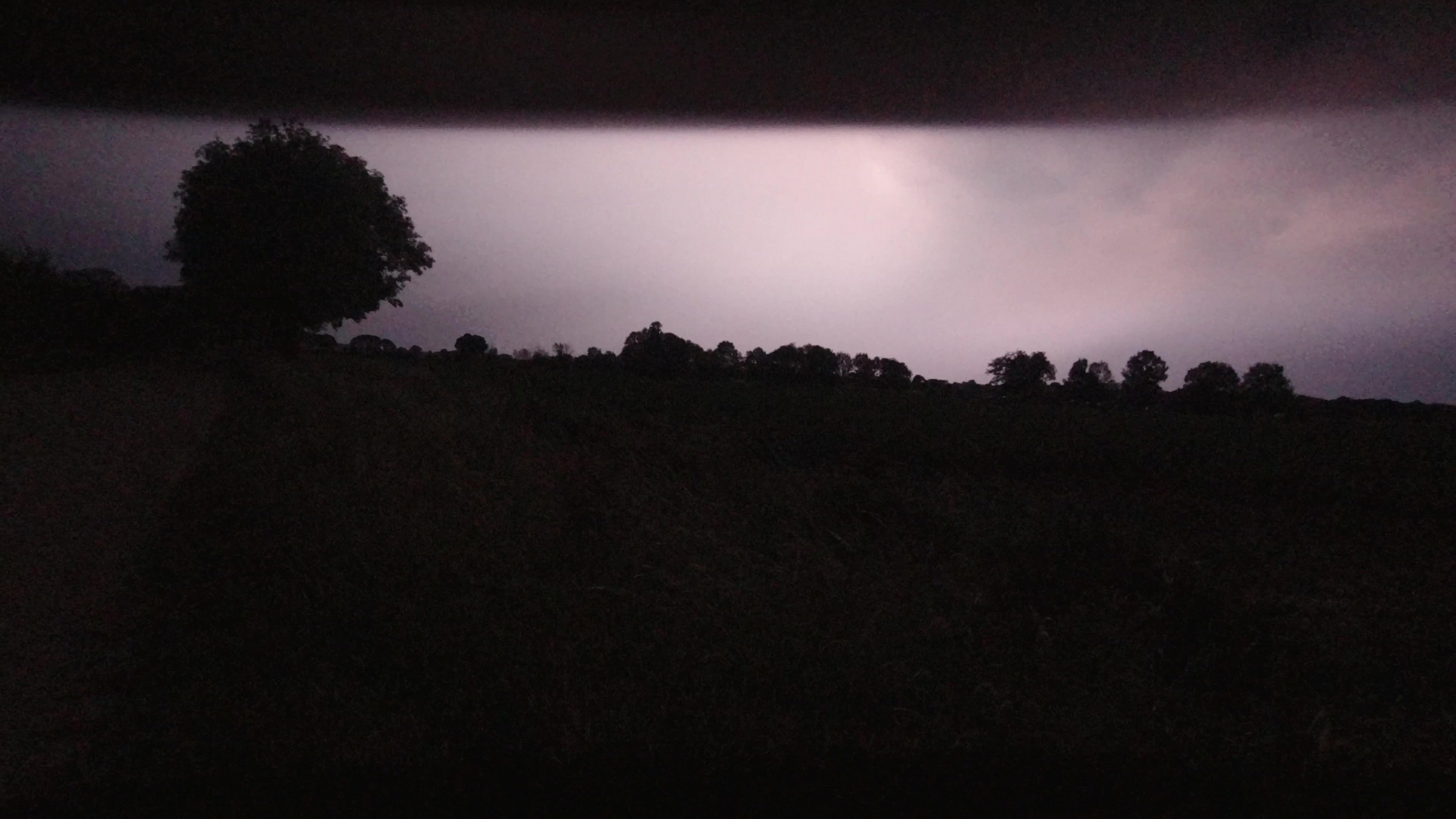In het bliksemlicht worden boomtoppen en wolken zichtbaar.