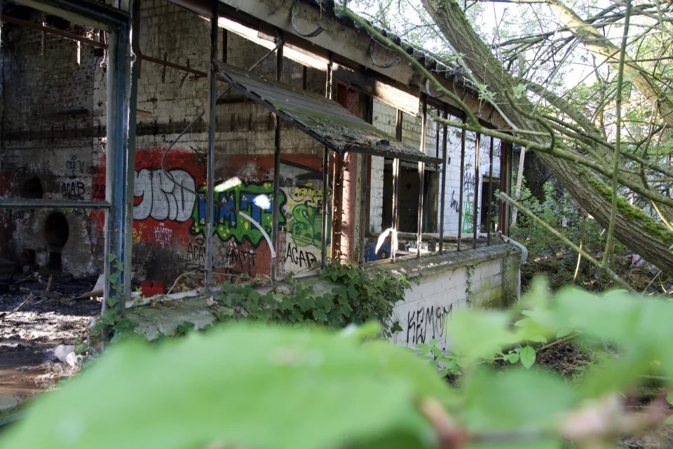 Überwachsene Fassade und Graffiti an der verlassenen Halle.